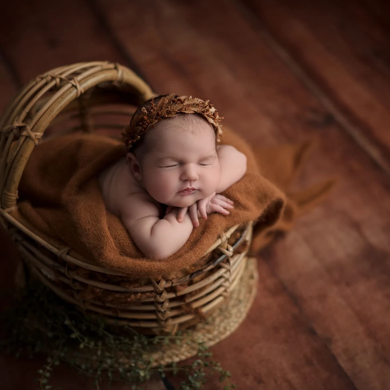 Formation photo de naissance (nouveau-né) à Angers